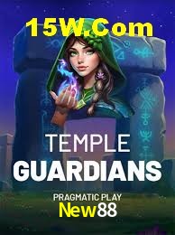 Security Systems New88